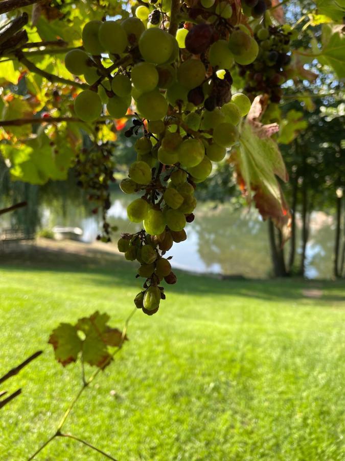 Gemuetliches Fachwerkhaus Am See Mit Kamin Warendorf Eksteriør billede